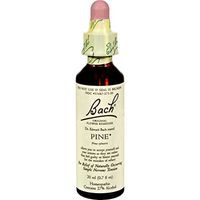 Bach Flower Remedies Essence Pine - 0.7 fl oz