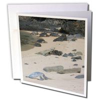 3dRose Sea Turtles on Na Pali Coast - Greeting Cards, 6 x 6 inches, set of 6 (gc_23700_1)