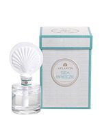 Zodax FAN SHELL LARGE Porcelain Diffuser - Sea Breeze Fragrance