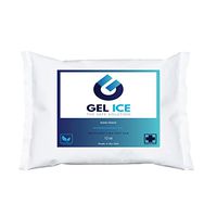  G Gel Ice 12oz Cold Pack (Single) - Reusable, Safe, Made in USA
