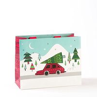 Papyrus Bag Medium, 1 EA