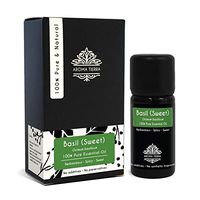 Aroma Tierra Sweet Basil Essential Oil (India) - 100% Pure, Natural, Undiluted (10ml)