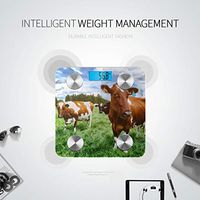 Black and White Dairy Cows Scientific Scale in Body Scale Scale for Body Weight Tracks 8 Key Compositions Analyzer Sync with Fitness Apps 400 Lbs