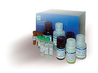 Glucose Assay Kit III (EGL3-100)