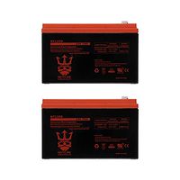 Neptune Battery Replacement. Enduring 6-DW-7 12V 7AH UB1270-2 Pack