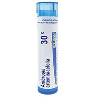 Boiron Ambrosia Artemisiaefolia 30c, Blue, 80 Count