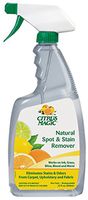 Trewax 614171764 Carpet & Upholstery Spot Stain Remover