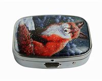 XingBoo Snow Fox Custom Square Silver Western Medicine Tablet Pocket Travel Pill Case Vitamin Glass Decorative Box