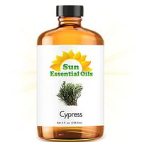 Cypress Essential Oil (Huge 8oz Bottle) Bulk Cypress Oil - 8 Ounce