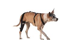 WalkAbout Canine Knee Brace (XXSmall 4.5-5.5" Circumference 1" Above Knee of Left Leg) 3mm Neoprene Support Sleeve