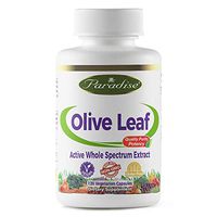 Paradise Herbs Olive Leaf Vegetarian Capsules, 120 Count