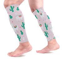 LEVEIS Cactus Calf Compression Sleeves 1 Pair, Leg Performance Support for Shin Splint Calf Pain Relief Men & Women Guards Sleeves for Running Cycling