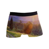 Sunset in The Mountains Landscape Carpathian Men's Sexy Boxer Briefs Stretch Bulge Pouch Underpants Underwear