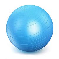 ZENWENYoga Birthing Exercise Yoga Ball with Free Air Pump Yoga Quick PUM Exercise Ball with Resistance Bands Yoga Exercise Ball,Light blue-53cm