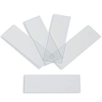 Microscope Slides, Ground Edges, Plain, 90 Corners, 3x1, Karter Scientific 206A11 (Pack of 720)