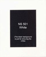 Pack of 25 11x14 White Picture Mats Mattes with White Core Bevel Cut for 8x10 Photo + Foam Board + Bags