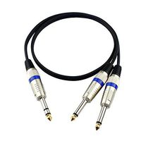Huahan Extension 6.35mm 1/4" inch TRS Male to 2x Dual 1/4" inch TS Male Insert Audio Cable 1M/3.28ft