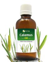 Calamus Oil (Acorus Calamus) Therapeutic Essential Oil by Salvia Amber Bottle 100% Natural Uncut Undiluted Pure Cold Pressed Aromatherapy Premium Oil - 100ML/ 3.38fl oz