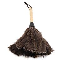 Hztyyier 13.4'' Ostrich Feather Duster with Wooden Handle Natural Mini Duster Handheld Washable Cleaning Tool for Books Keyboard Office Home