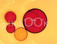 Hi-Look Microfiber Cleaning Cloth - Red And Yellow Vertial