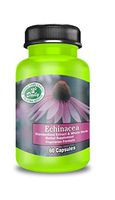 Daily Echinacea Root