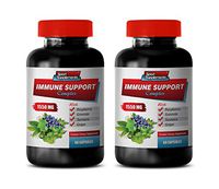 Immune Boosting Vitamins for Men - Immune Support Complex 1550MG - Natural Formula - Premium Blend - Stop Free Radical Damage - Turmeric Curcumin - 2 Bottles (120 Capsules)