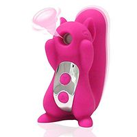 Electric Massager with Cute Squirrel Shape, with Various Sucking Vibration Massage Functions, 10 Vibration Modes and 10 Sucking Intensity Personal Massage Toys, Pink