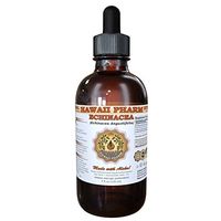 Echinacea Tincture, Echinacea (Echinacea Angustifolia) Root Powder Liquid Extract 4 oz by HawaiiPharm