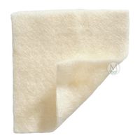 Melgisorb Ag Dressings (2x2) (Box of 10) by Melgisorb