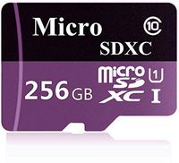 TBLM Disk Micro SD Card 256GB High Speed Class 10 Micro SD SDXC Card with Adapter