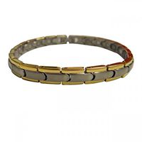 Magnetic Therapy Bracelet Matrix Silver and Gold