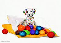 Hi-Look Microfiber Cleaning Cloth - Going Camo