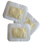 Healifty Foot Pads ginger Comfortable Ginger Pain Relief Pads Foot Care Pads for Women Lady Man 50pcs