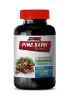 Brain and Memory Supplements - Pine BARK Extract - Free Radical Protection - Energy Supplements for Women - 1 Bottle 90 Capsules
