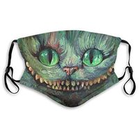 2 Pack Wonderland Cheshire Cat Smile 2 PM2.5 Non-Medical Face Cover with Replaceable Filter Elements