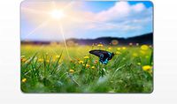 Macbook Air 11 inch Butterfly in field removable vinyl skin decal sticker