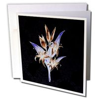3dRose A Stem of Lillies On A Dark Damask Background - Greeting Cards, 6 x 6 inches, set of 12 (gc_112069_2)