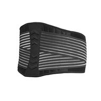RDL Lumbar Support Back Brace Breathable Net Cloth Fixed Protection Spring Waist Strap-3 Sizes (Color : Black, Size : M)
