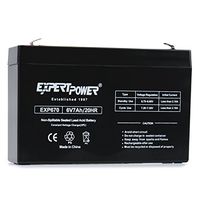 ExpertPower EXP670 6 Volt 7.0 Ah Rechargeable Battery