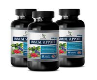 Immune Defense Vitamins - Natural Immune Support Complex 1550MG - Powerful ANTIOXIDANTS - Best Herbs - Green Tea Leaves - 3 Bottles (180 Capsules)