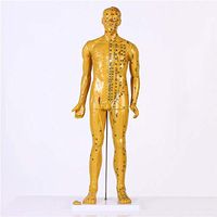 BIUYYY Copper Human Acupuncture Model Pressure Point and Meridians - for Acupuncturists and Other Medical Professionals, 85Cm