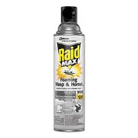 Raid Max 77726 Insect Killing Foam Wasps & Hornet, 13 Oz