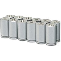 Skilcraft NSN8357210 D Alkaline Battery44; Pack of 12 - Gray Silver
