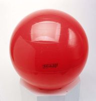 22" Balance Therapy Ball