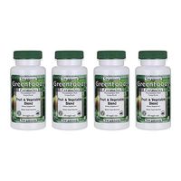 Swanson Timed-Release Horse Chestnut 22% Aescin 200 mg 120 Tabs 4 Pack