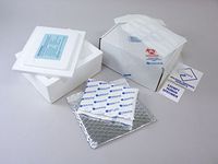380126G - Protected Ambient Cat. B Shipper with Cooler, Foil Pouch, and Small Gel Wrap - Protected Ambient Category B Shipping Systems, Therapak - Case of 12