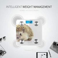LYAOE Bluetooth Body Fat Scale Hedgehog Isolate On White Smart Wireless Scale with LCD Display Measuring Body Weight Bmi and Health Digital Scale