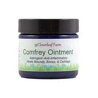 Cloverleaf Farm - Comfrey Herbal Ointment, 2 oz