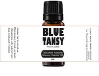 Sweet Sunnah Blue Tansy Essential Oil (Tanacetum annum) Sourced Natural from Morocco Aromatherapy, 100% Pure Undiluted Therapeutic Grade 5 mL