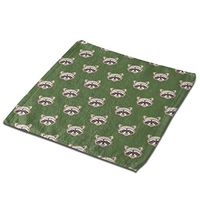 None Branded Raccoon Head Microfiber Dish Cloths Quick Dry Hand Drying Towels Dust Wipes for Washing Dishes Dish Rags Best Kitchen Cloths Cleaning Cloths 2 PCS